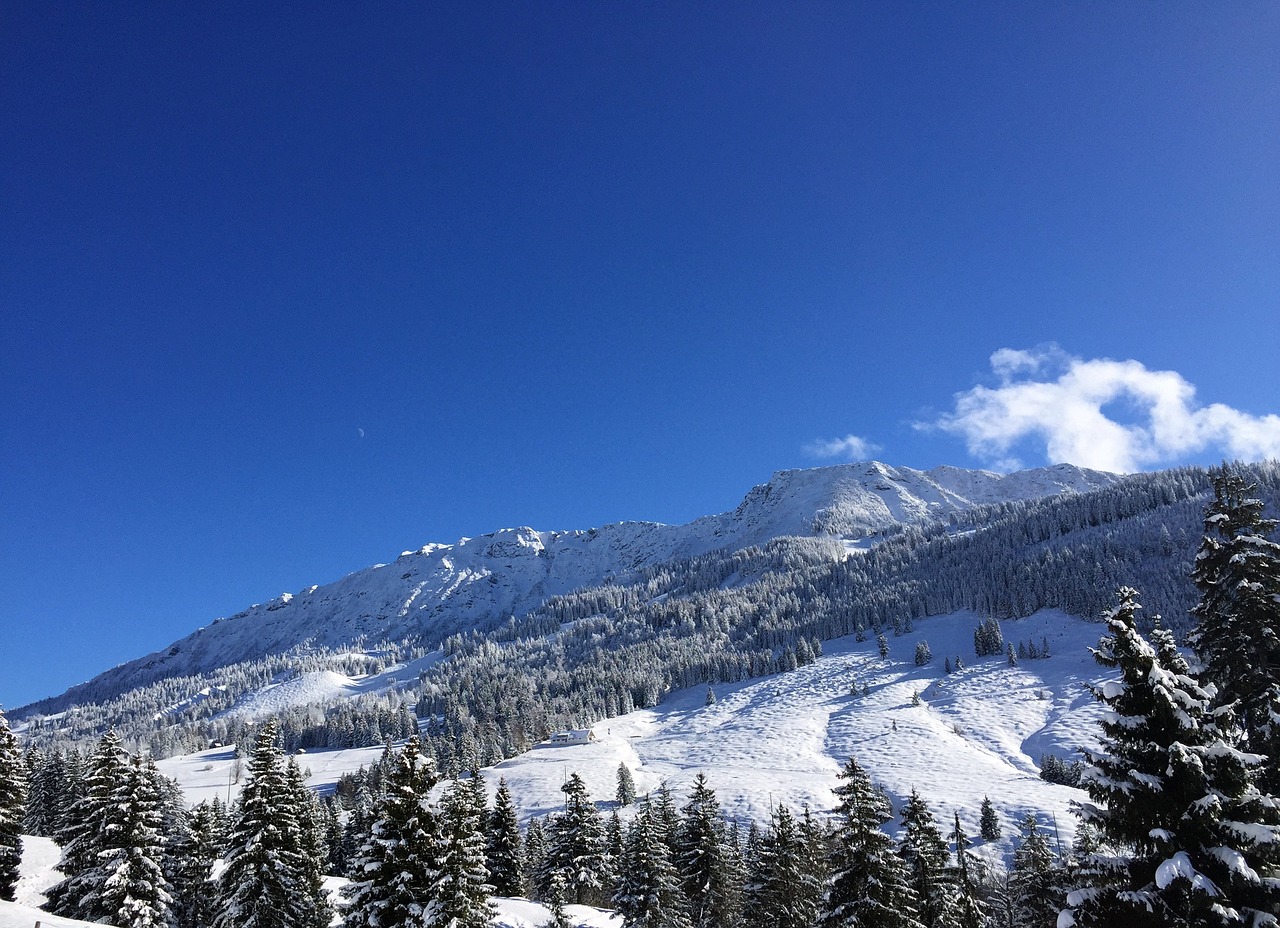 Allgäu, Bavarija, Oberjoch, Žiema, Kalnai, Mėlynas Dangus, Panorama, Vaizdas, Sniegas, Dangus