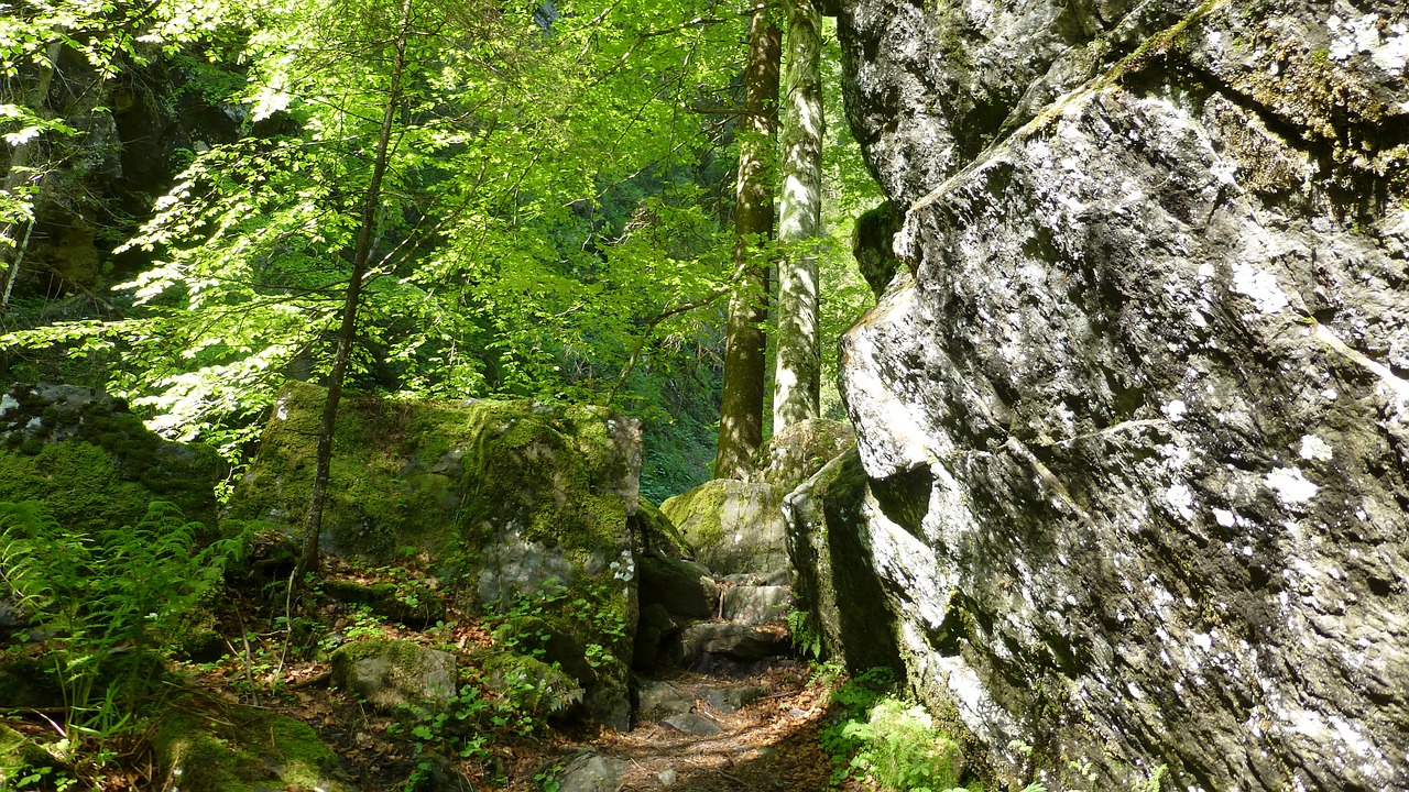 Allgäu, Pfronten Kappel, Hoellschlucht, Miškas, Rokas, Toli, Nemokamos Nuotraukos,  Nemokama Licenzija