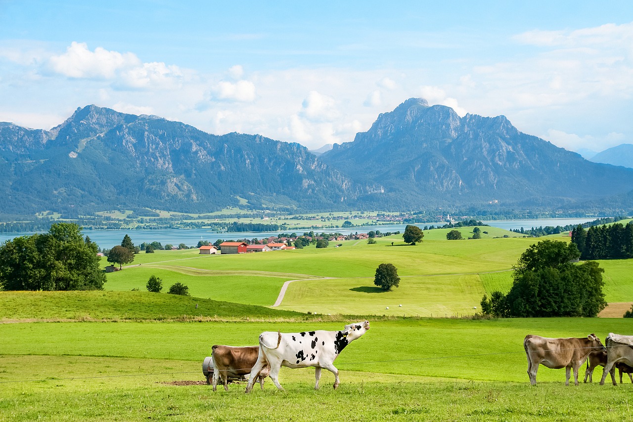 Allgäu, Ostallgäu, Bavarija, Kalnai, Kalnų, Tegelberg, Pasivalu, Bavarijos Alpės, Alpių, Gamta