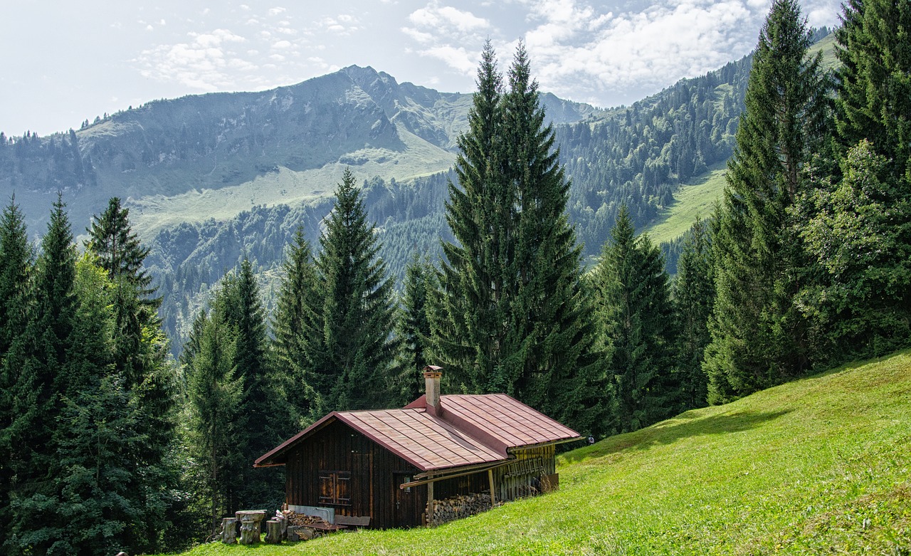 Allgäu, Oberstdorf, Kalnai, Miškas, Medžiai, Bavarija, Vasara, Namelis, Nemokamos Nuotraukos,  Nemokama Licenzija