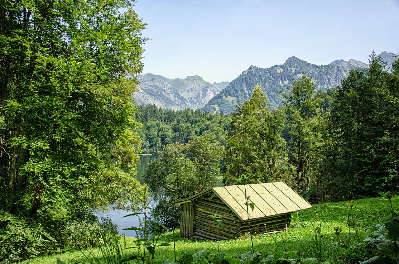 Allgäu, Oberstdorf, Ežeras, Kalnai, Miškas, Medžiai, Bavarija, Vasara, Namelis, Nemokamos Nuotraukos