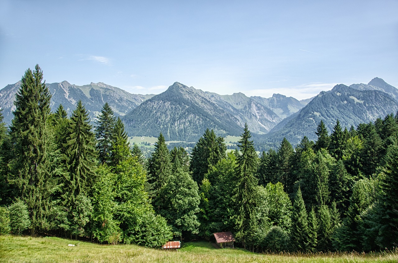 Allgäu, Oberstdorf, Kalnai, Miškas, Medžiai, Bavarija, Vasara, Eglės, Nemokamos Nuotraukos,  Nemokama Licenzija
