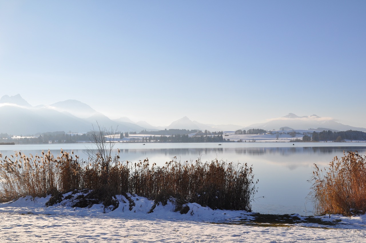 Allgäu, Ežeras, Žiema, Nemokamos Nuotraukos,  Nemokama Licenzija