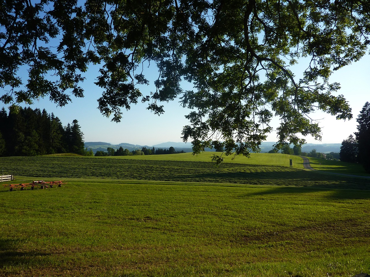 Allgäu, M Ūkiai, Gestratz, Pieva, Ganykla, Idilija, Nemokamos Nuotraukos,  Nemokama Licenzija