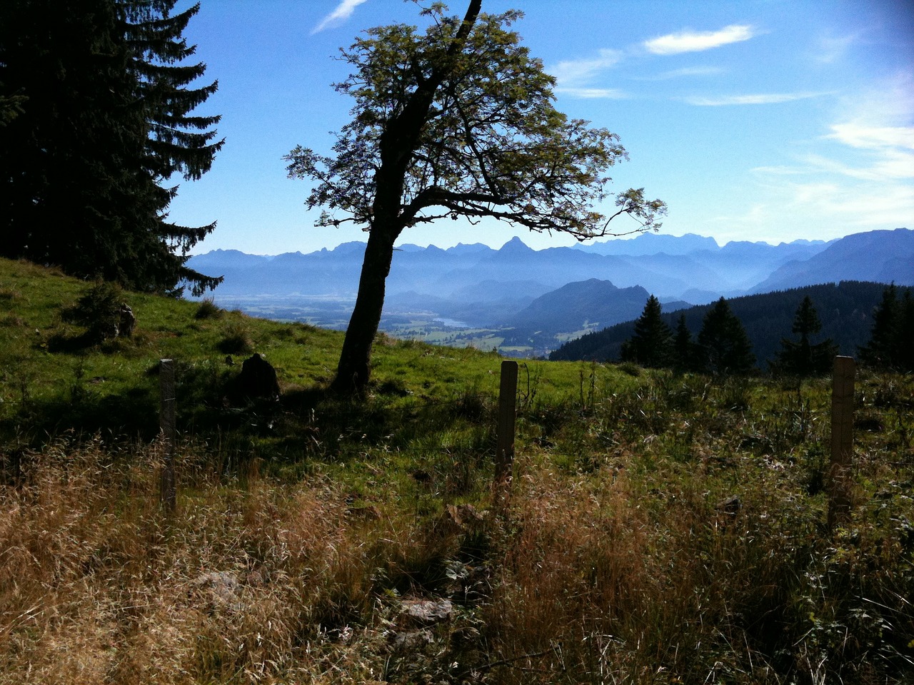Allgäu, Pfronten, Alpių Akys, Kalnai, Amerio Kalnai, Nuotaika, Medis, Debesys, Dangus, Nemokamos Nuotraukos