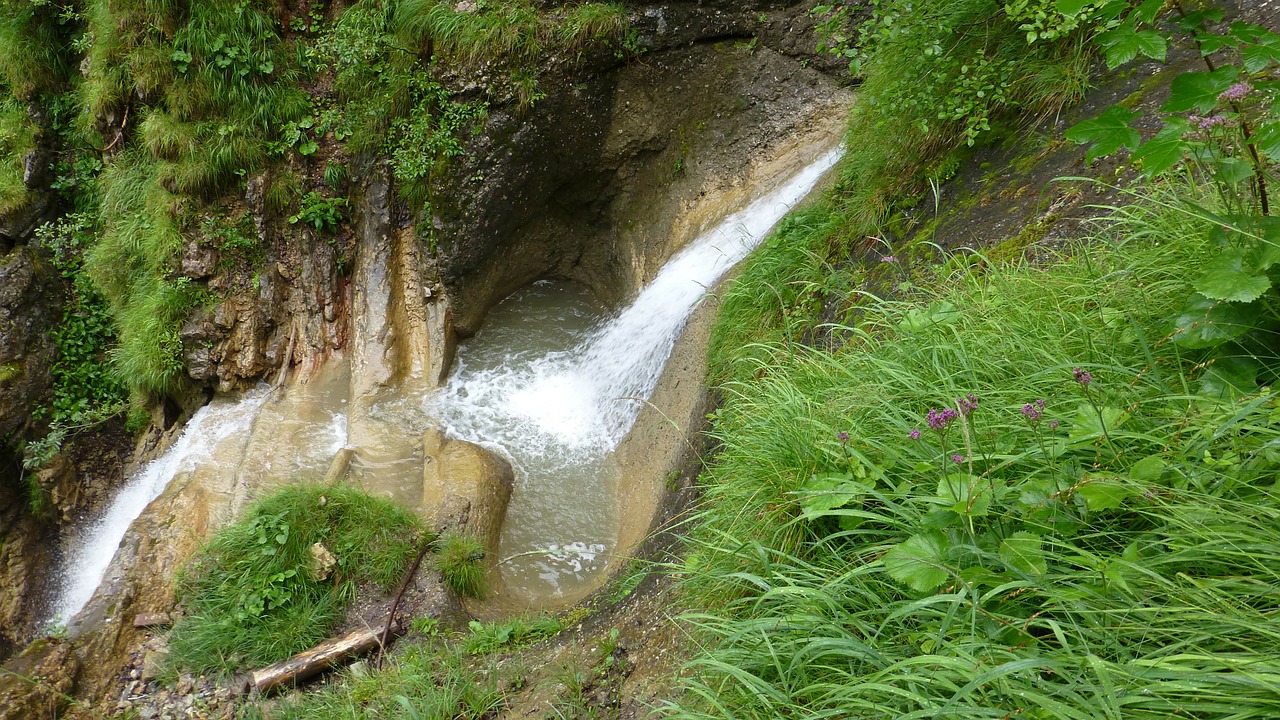 Allgäu, Tobel, Torrent, Krioklys, Miškas, Žolė, Nemokamos Nuotraukos,  Nemokama Licenzija