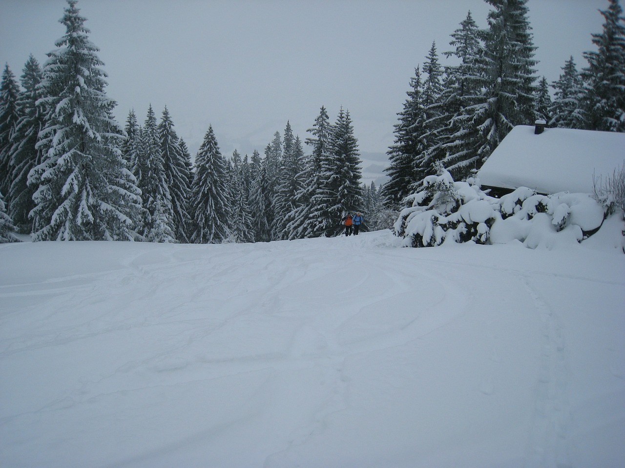 Allgäu, Slidinėjimas Atokioje Pakrantėje, Miškas, Sniegas, Namelis, Žiema, Gilus Sniegas, Alpių, Žiemą, Nemokamos Nuotraukos