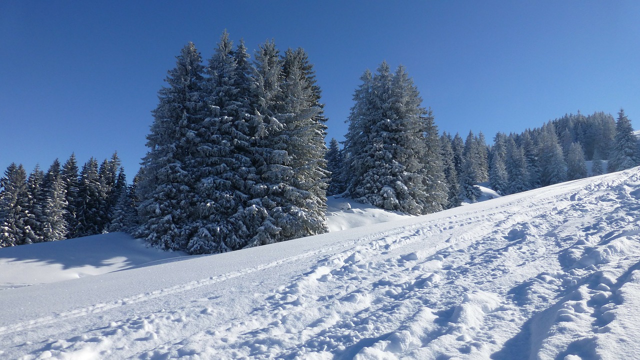 Allgäu, Apželdintas, Žiema, Sniegas, Saulė, Šaltas, Šaltis, Nemokamos Nuotraukos,  Nemokama Licenzija