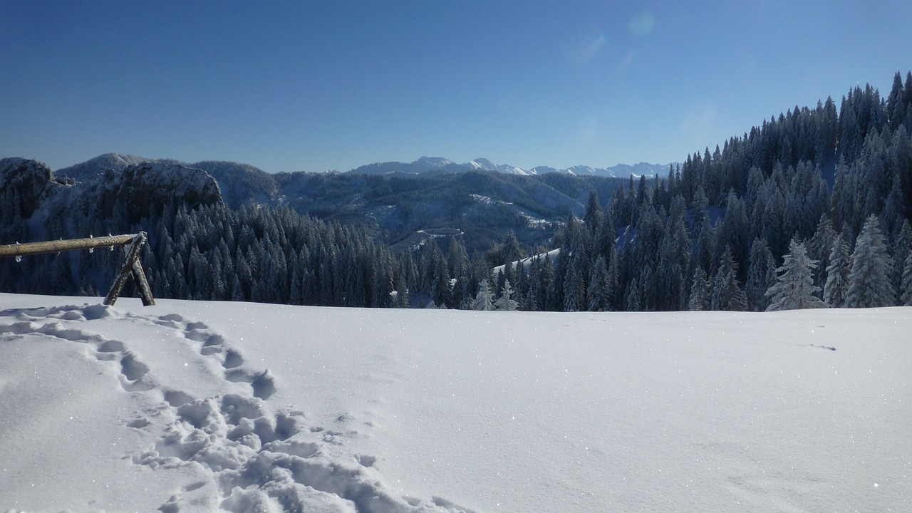 Allgäu, Apželdintas, Žiema, Sniegas, Saulė, Šaltas, Šaltis, Nemokamos Nuotraukos,  Nemokama Licenzija