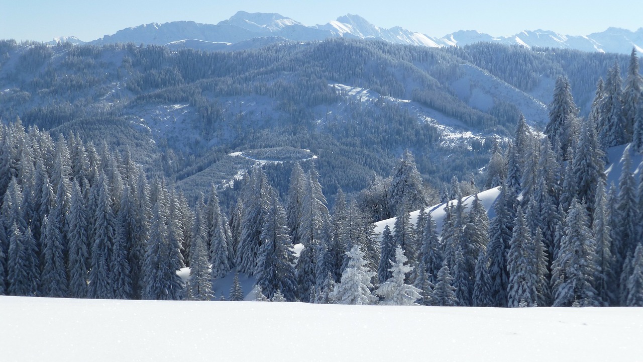 Allgäu, Apželdintas, Žiema, Sniegas, Saulė, Šaltas, Šaltis, Nemokamos Nuotraukos,  Nemokama Licenzija