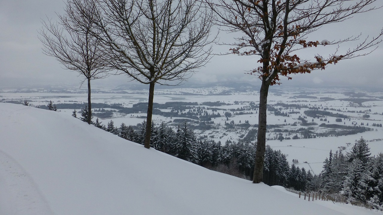 Allgäu, Žiema, Buchenbergas, Ežeras Forggensee, Sniegas, Panorama, Nemokamos Nuotraukos,  Nemokama Licenzija