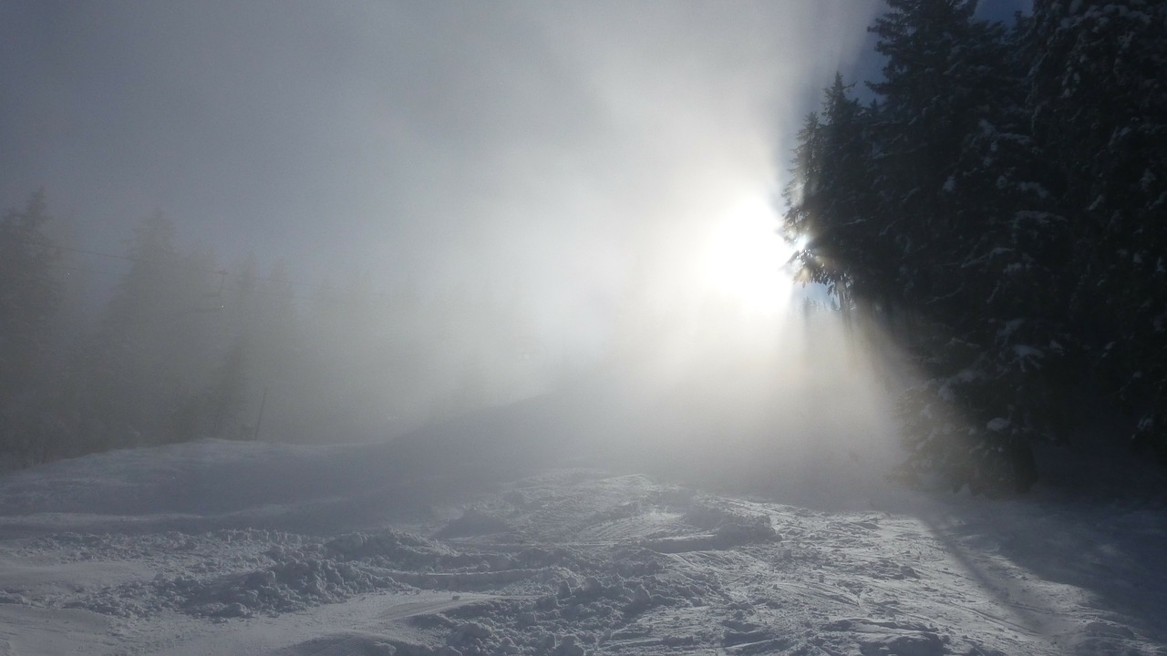 Allgäu, Alpių Akys, Rūkas, Saulė, Žiema, Sniegas, Medžiai, Nemokamos Nuotraukos,  Nemokama Licenzija