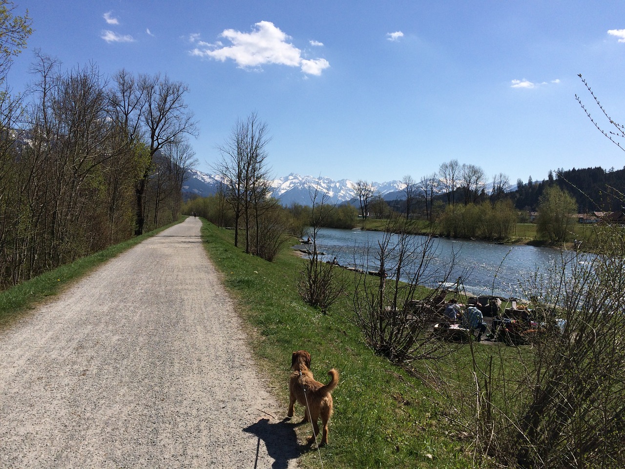 Allgäu, Neteisingai, Bloga Užtvankos, Sonthofen, Oberstdorf, Vaikščioti, Gamta, Nemokamos Nuotraukos,  Nemokama Licenzija