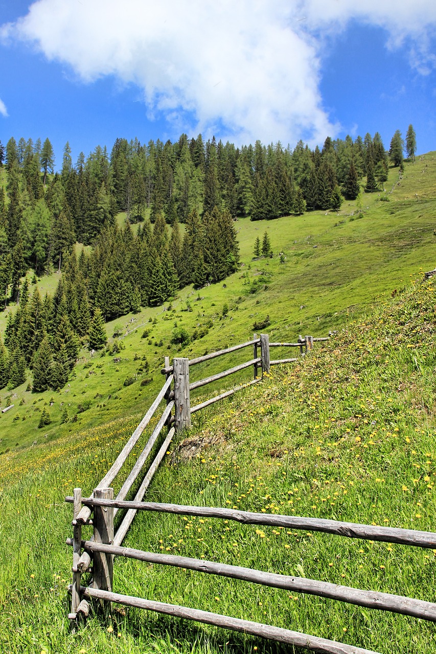 Alm, Tvora, Kalnas, Alpių Pieva, Austria, Kraštovaizdis, Ganykla, Debesys, Gamta, Medžio Tvora