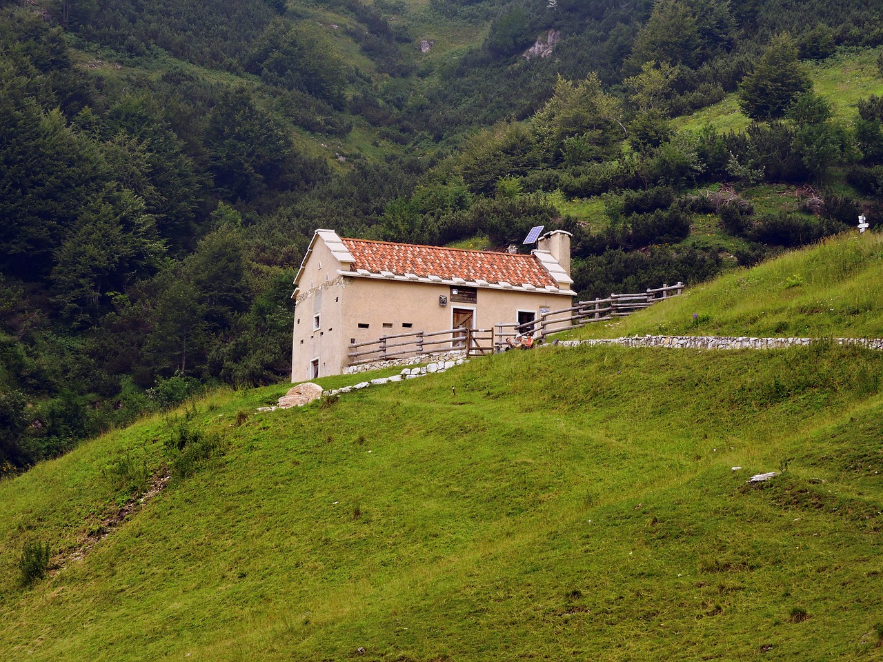 Alm, Takas, Žygiai, Kalnas, Vaikščioti, Veneto, Italy, Val Fraselle, Nemokamos Nuotraukos,  Nemokama Licenzija