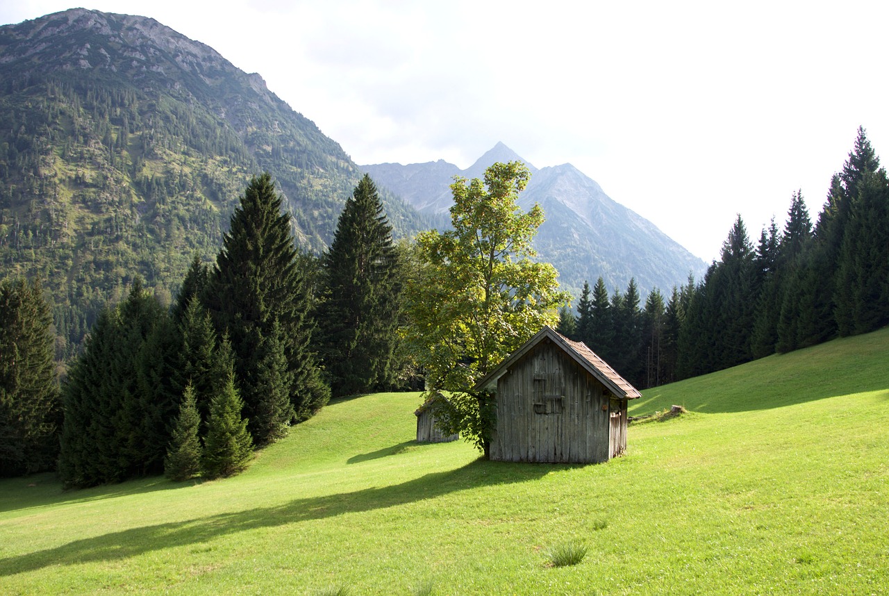 Alm, Namelis, Pieva, Ilgis, Oberstdorf, Bavarija, Vanduo, Allgäu, Gamta, Kalnai