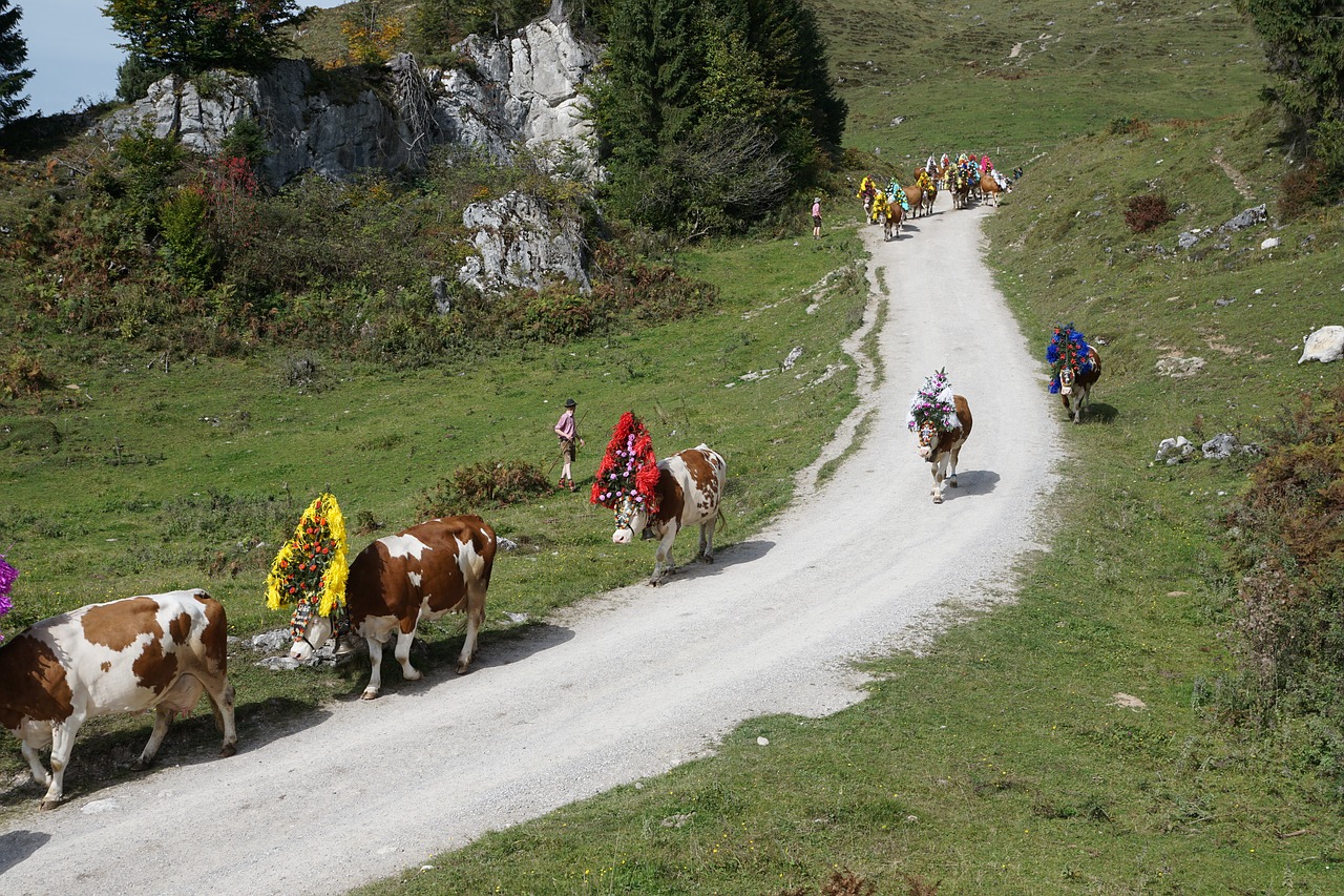 Alm, Austria, Wilder, Imperatorius, Kalnas, Kalnas, Toli, Kraštovaizdis, Kalnai, Alpių