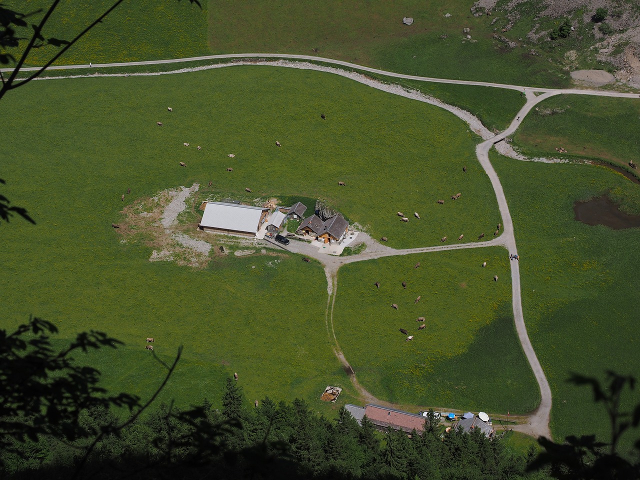 Alm, Alpe, Seealpsee, Säntis, Kalnų Namelis, Hof, Nemokamos Nuotraukos,  Nemokama Licenzija