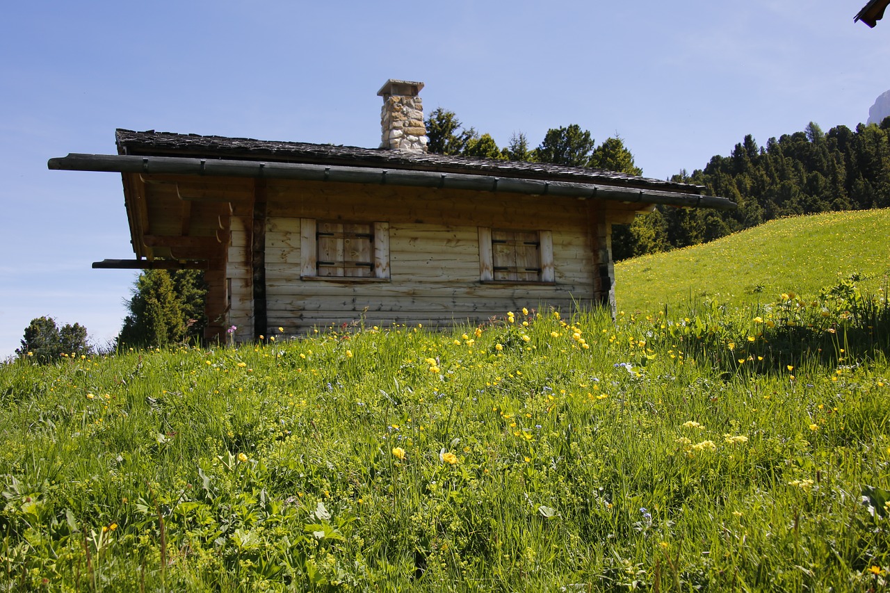 Alm, Pieva, Kalnai, Kraštovaizdis, Gamta, Alpių, Žolė, Žygiai, Kalnų Pieva, South Tyrol