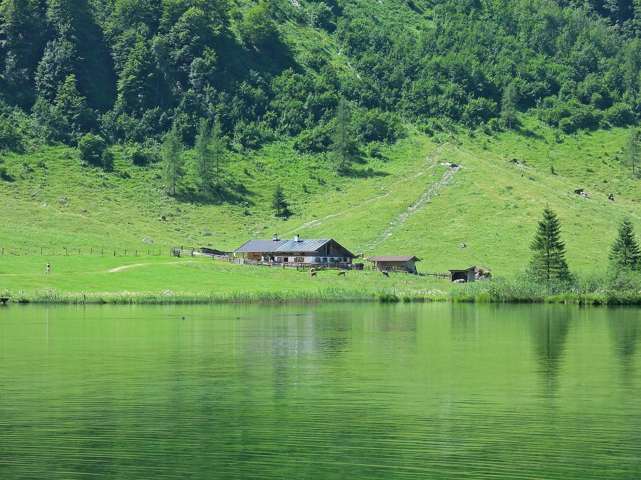 Alm Būstas, Ūkis, Žemdirbystė, Valdymas, Kalnas, Ežeras, Miškas, Žalias, Lauke, Gamta