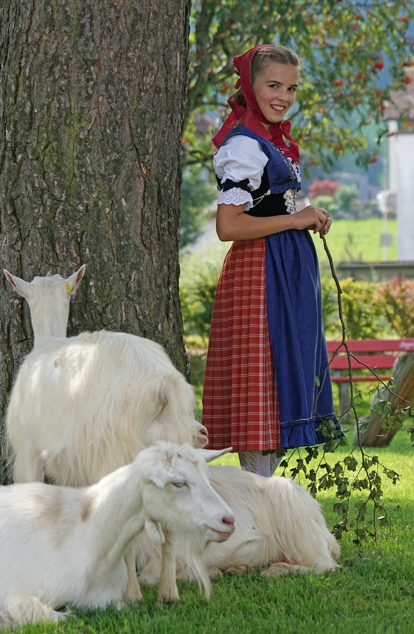 Almabtrieb, Désalpe, Alp Produkcija, Appenzell, Muitinės, Vidausrhoden, Appenzeller, Kostiumai, Mergaičių Kostiumas, Ožkos