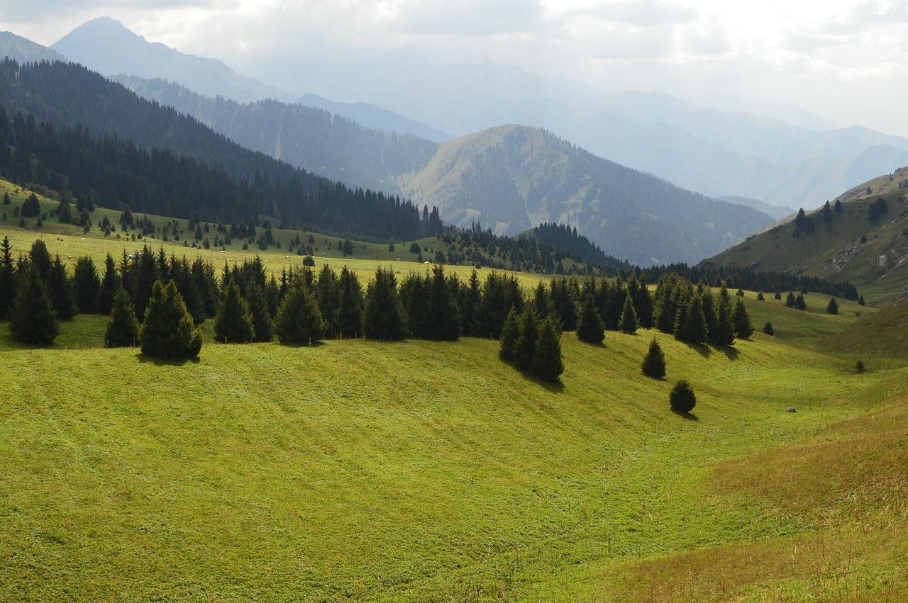 Almaty, Gamta, Kalnas, Nemokamos Nuotraukos,  Nemokama Licenzija