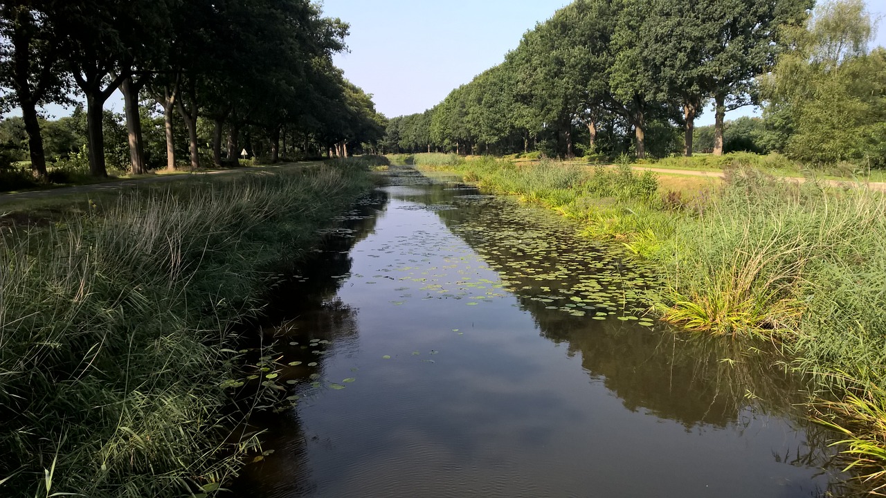 Almelo Nordhorn Kanalas, Kanalas, Vanduo, Griovys, Upė, Twente, Overijssel, Gamta, Tvenkinys, Alėja