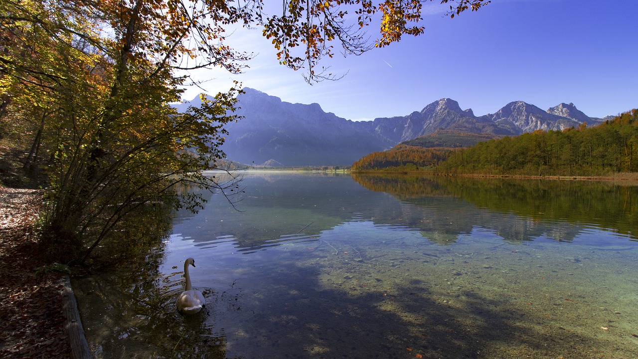 Almsee, Grünau, Aukštutinė Austrija, Nuotaika, Žygiai, Kraštovaizdis, Austria, Ruduo, Aukso Ruduo, Kritimo Spalva