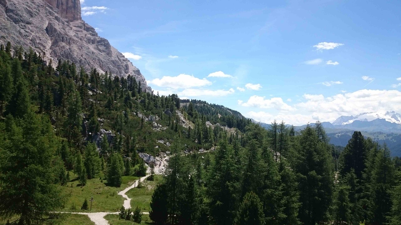 Alpių, South Tyrol, Kalnai, Dolomitai, Italy, Gamta, Kraštovaizdis, Panorama, Vaizdas, Miškas