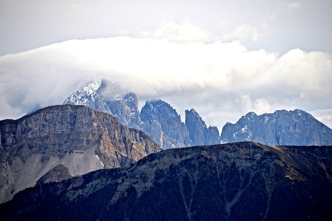 Alpių, Kalnai, Dolomitai, Rožių Sodas, Peitlerkofel, Rokas, Medžiai, Laisvalaikis, Vasara, Atsipalaiduoti