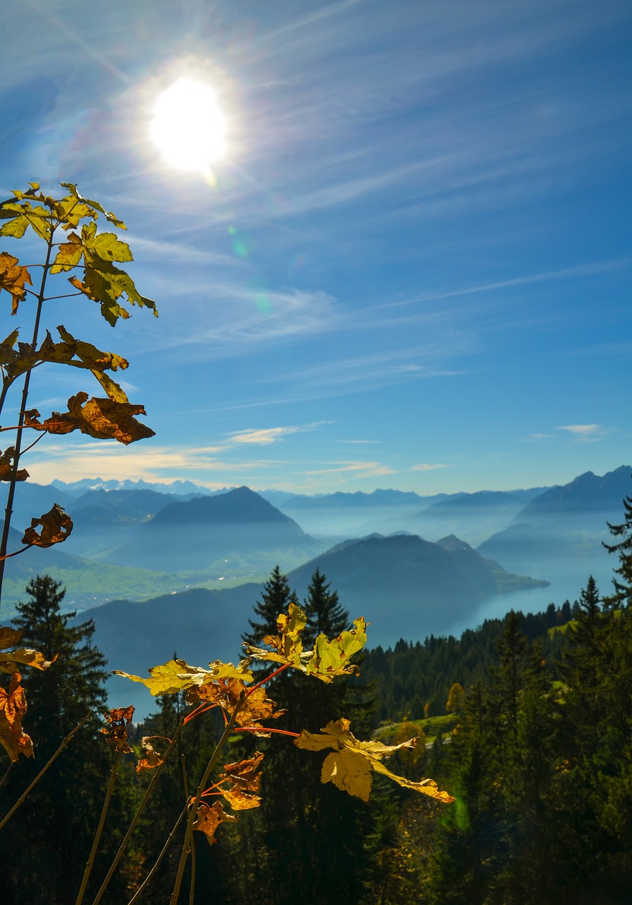 Alpių, Rigi, Pilatus, Stanserhorn, Ežero Lucerne Regionas, Migla, Kalnų Panorama, Gamta, Lapai, Saulė