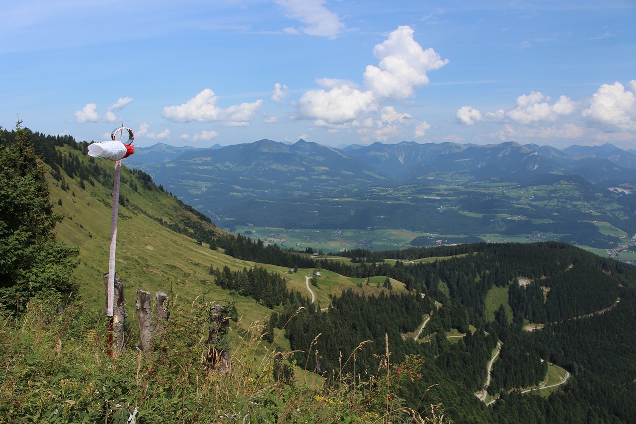 Alpine,  Ross Laukas, Nemokamos Nuotraukos,  Nemokama Licenzija