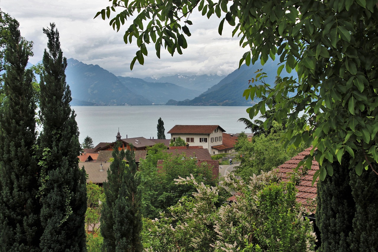 Alpine,  Ežeras,  Didelis,  Kalnai,  Kraštovaizdis,  Panorama,  Kelionė,  Šveicarija,  Hill,  Išėmos