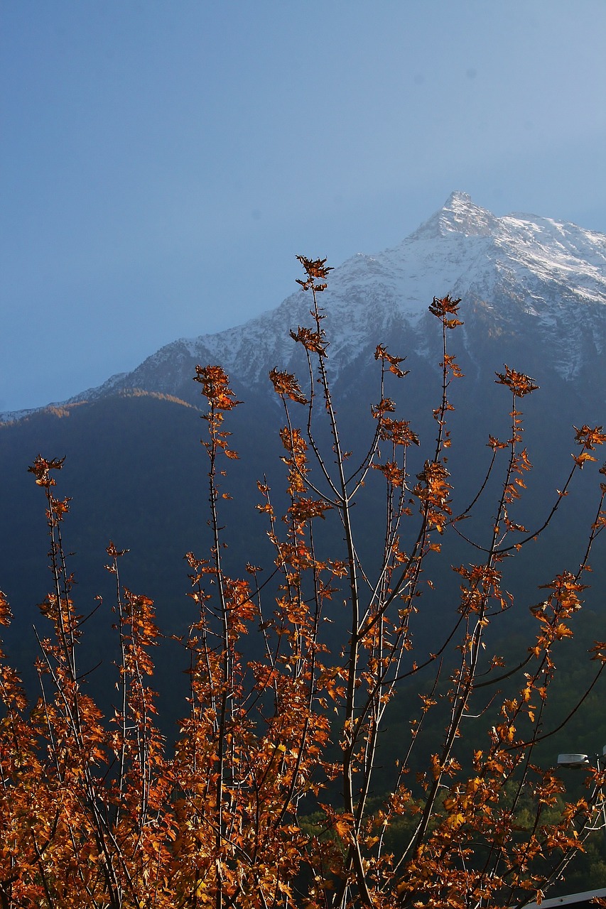 Alpine,  Summit,  Ruduo,  Snieguotas,  Lapai,  Kalnai,  Dangus,  Pobūdį,  Rudens Šviesos,  Nuotaika