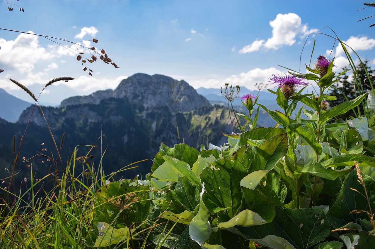 Alpine,  Schwangau,  Allgäu,  Tegelberg,  Perspektyvos,  Kalnų,  Füssen, Nemokamos Nuotraukos,  Nemokama Licenzija