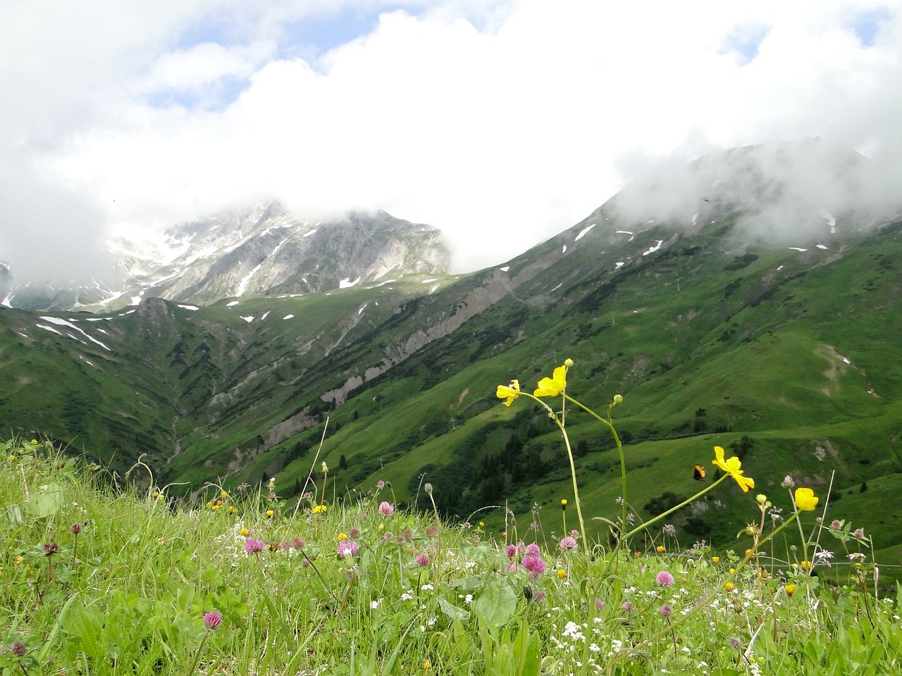 Alpių, Kraštovaizdis, Kalnų Gėlė, Kalnai, Gamta, Austria, Vaizdas, Idiliškas, Alpenblick, Lech