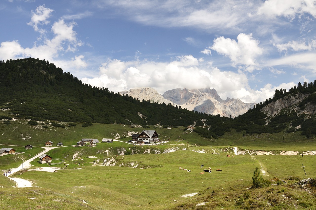 Alpių, Dolomitai, Alm, Uolos Masyvas, Berghof, Karvės, Ganykla, Kalnai, Miškas, Kraštovaizdis