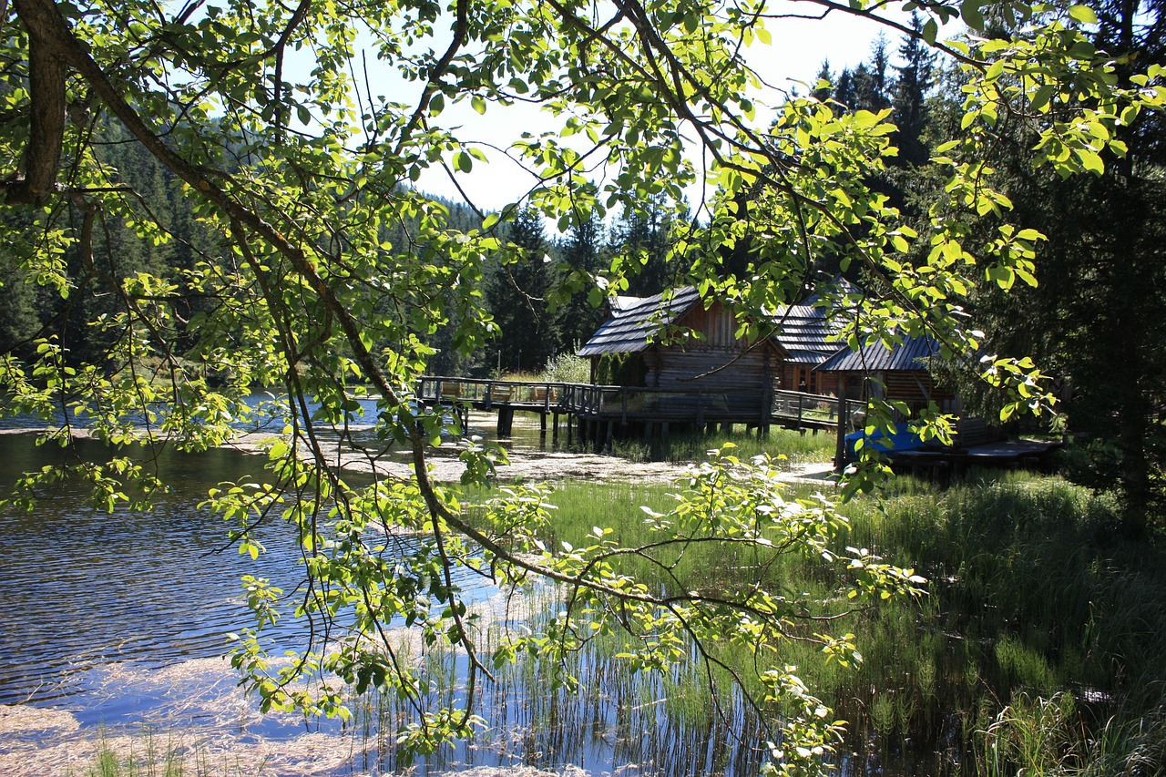 Alpių Ežeras, Gamta, Austria, Alpių, Vanduo, Nemokamos Nuotraukos,  Nemokama Licenzija