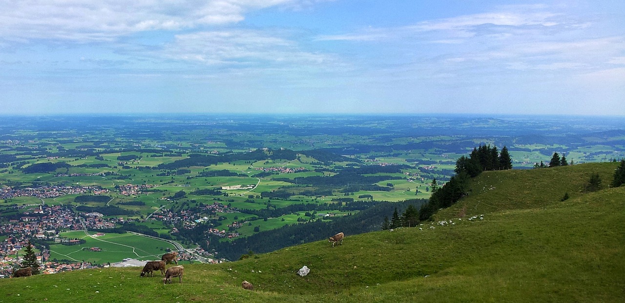 Alpių Pieva, Vasara, Karvė, Sultingas, Slėnis, Slėnio Vaizdas, Šventė, Bavarija, Füssen, Žygiai