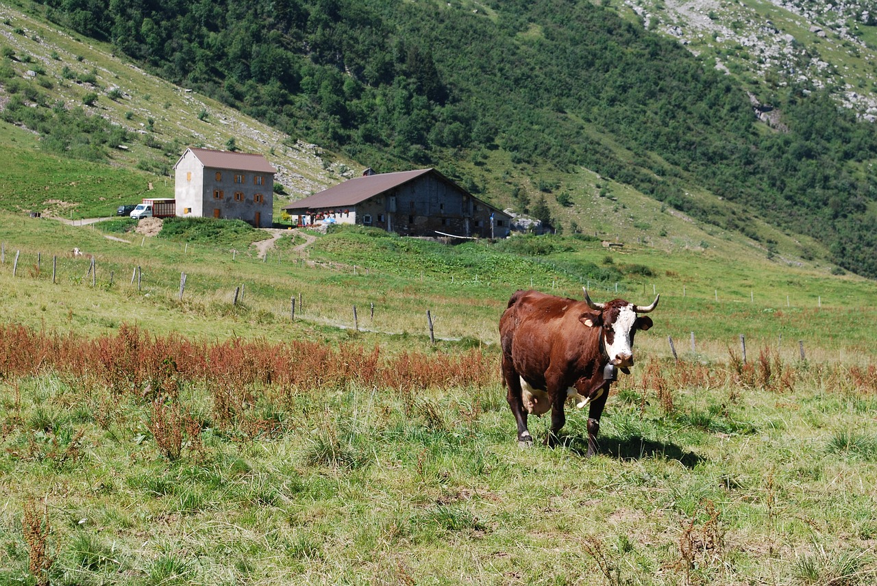 Alpės, Žygiai, Šventė, Kraštovaizdis, Gamta, Kalnas, Hautes Alpes, Walker, Aukščiausiojo Lygio Susitikimas, France