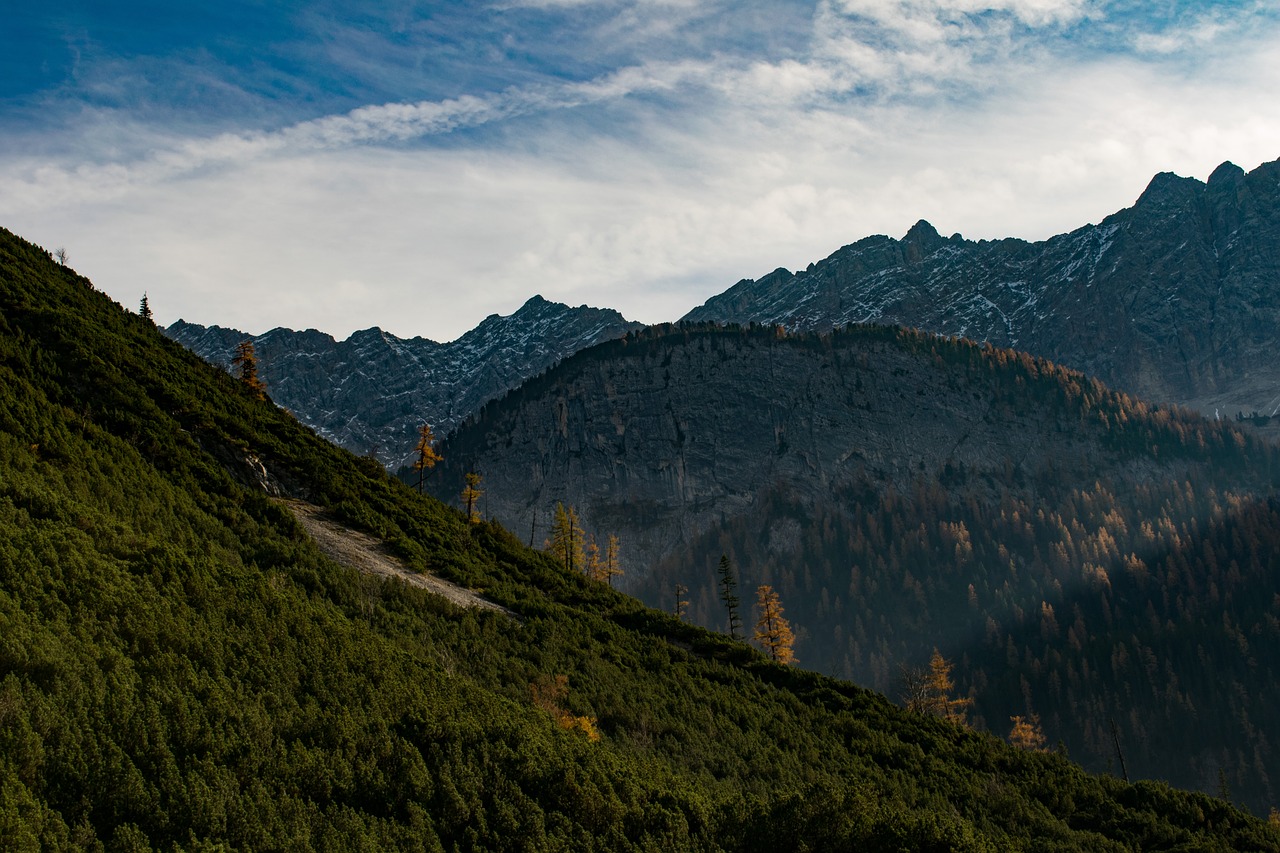 Alpės, Ruduo, Medžiai, Nemokamos Nuotraukos,  Nemokama Licenzija