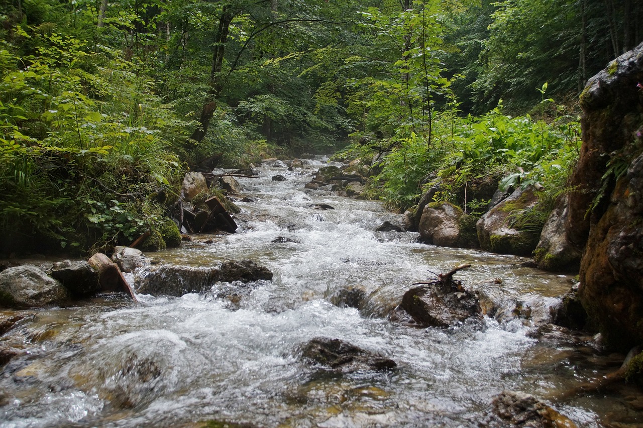 Alpės,  Austrija,  Suteršia,  Dr,  Vogelgesang Klamm,  ,  Vasara,  Vandens,  Srautas,  Pobūdį