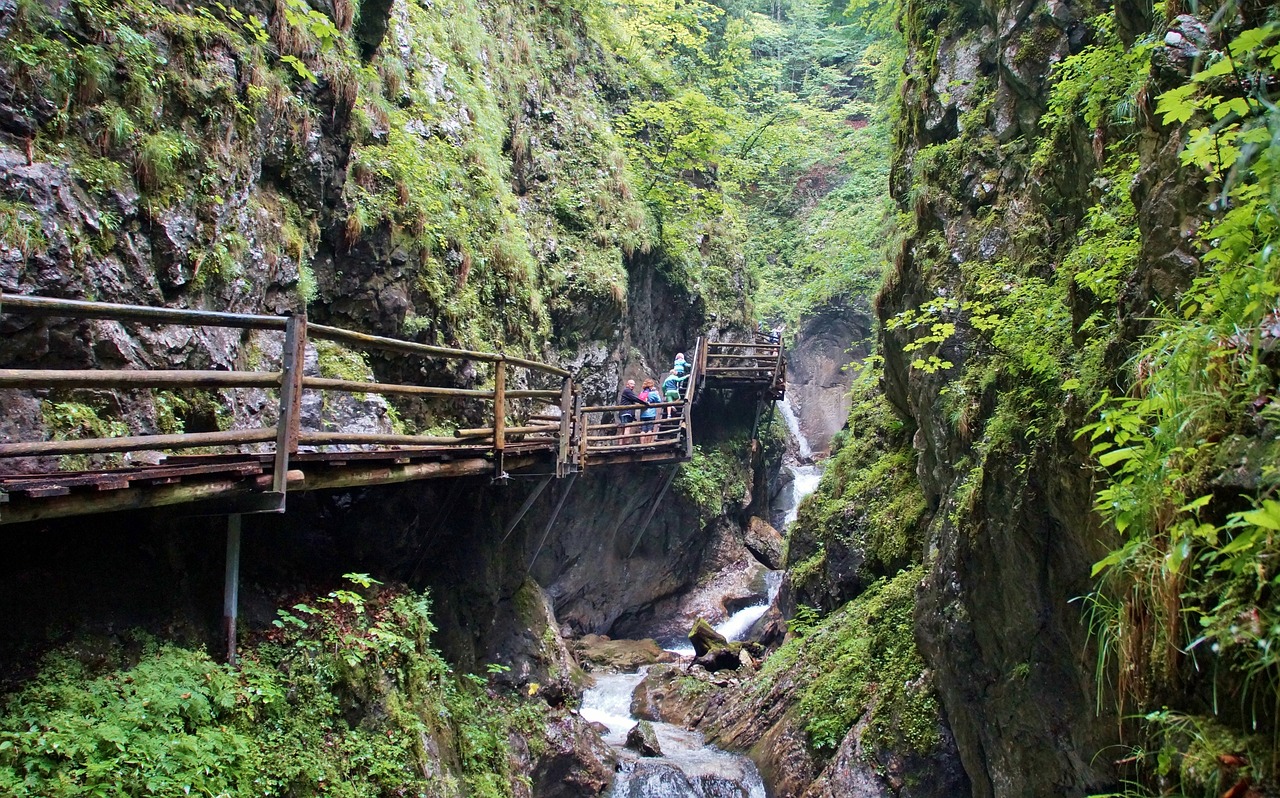 Alpės,  Austrija,  Suteršia,  Dr,  Vogelgesang Klamm,  ,  Vasara,  Vandens,  Srautas,  Pobūdį