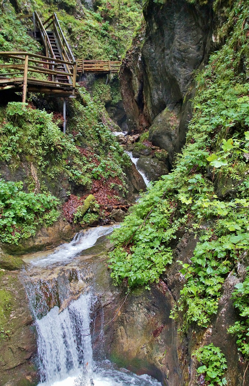 Alpės,  Austrija,  Suteršia,  Dr,  Vogelgesang Klamm,  ,  Vasara,  Vandens,  Srautas,  Pobūdį