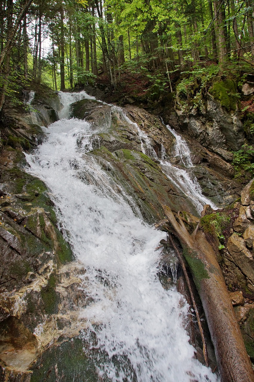 Alpės,  Austrija,  Suteršia,  Dr,  Vogelgesang Klamm,  ,  Vasara,  Vandens,  Srautas,  Pobūdį