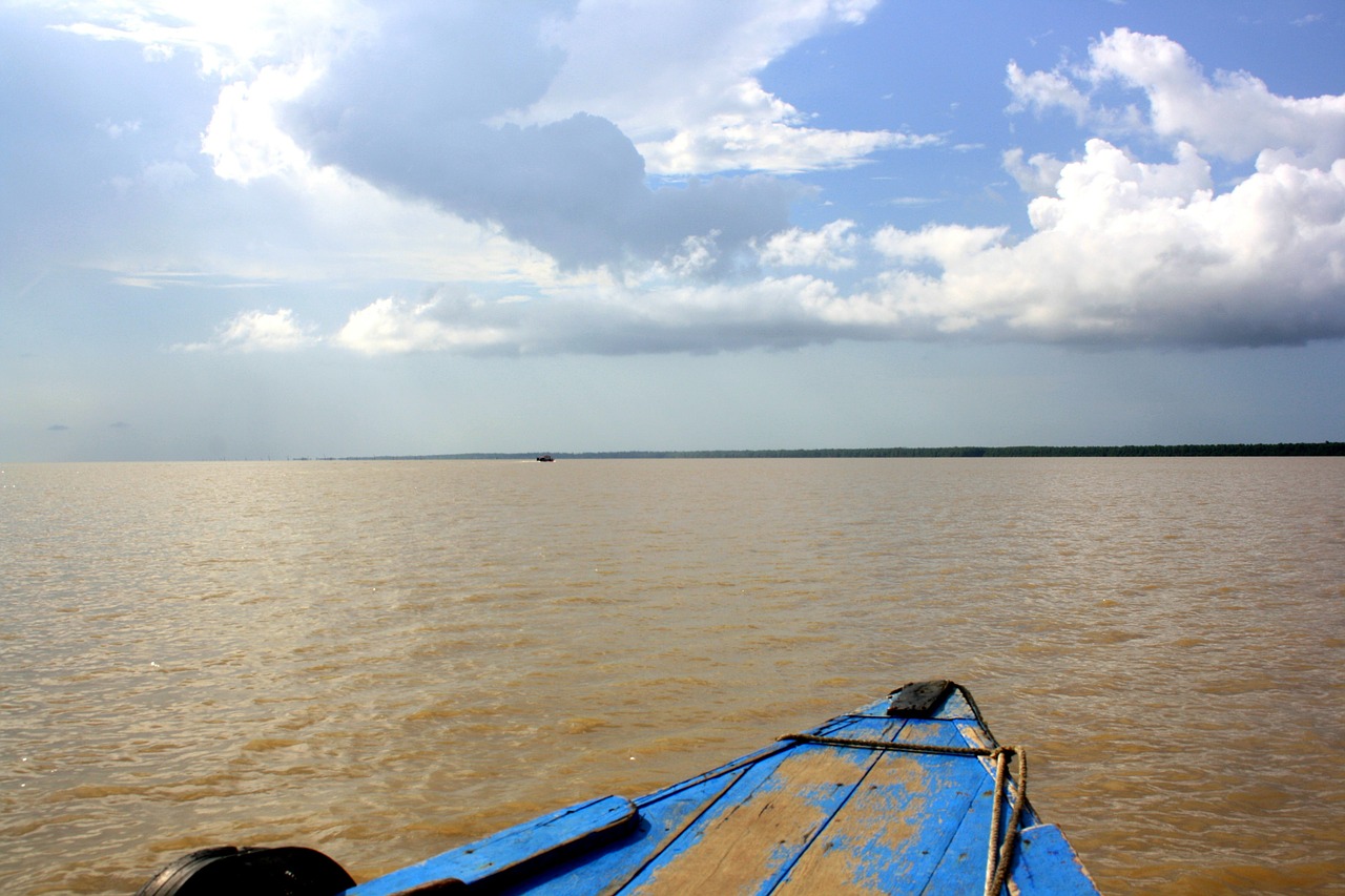 Amazon, Upė, Pasiplaukiojimas, Nemokamos Nuotraukos,  Nemokama Licenzija