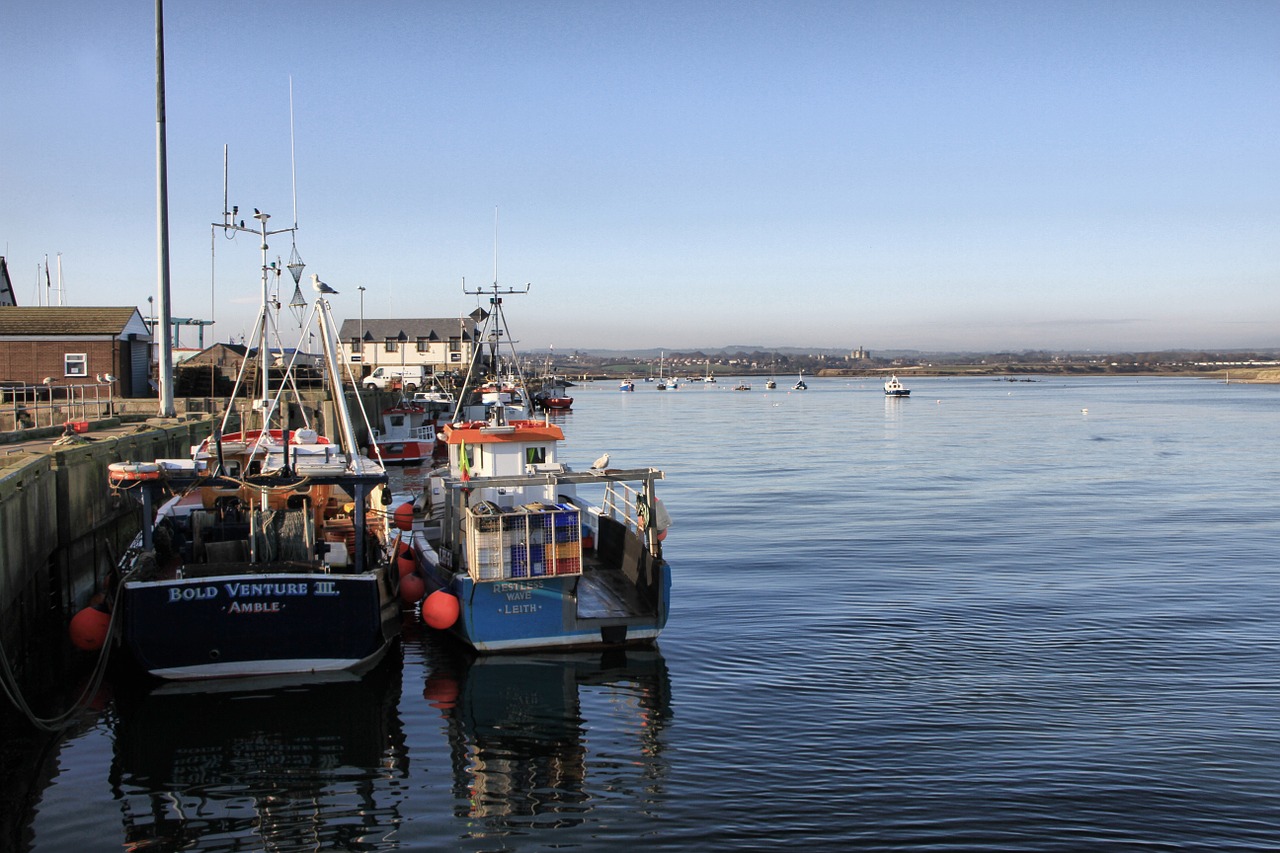 Amble, Northumberland, Uostas, Valtys, Žvejyba, Uk, Upė, Koquet, Jūra, Prieplauka