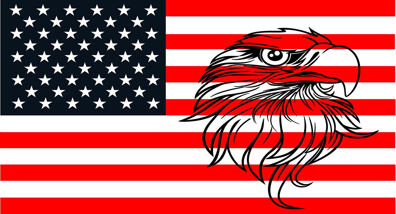Amerikietis, Vėliava, Erelis, Drąsus, Patriotinis, Usa, United, Valstijos, Laisvė, Simbolis
