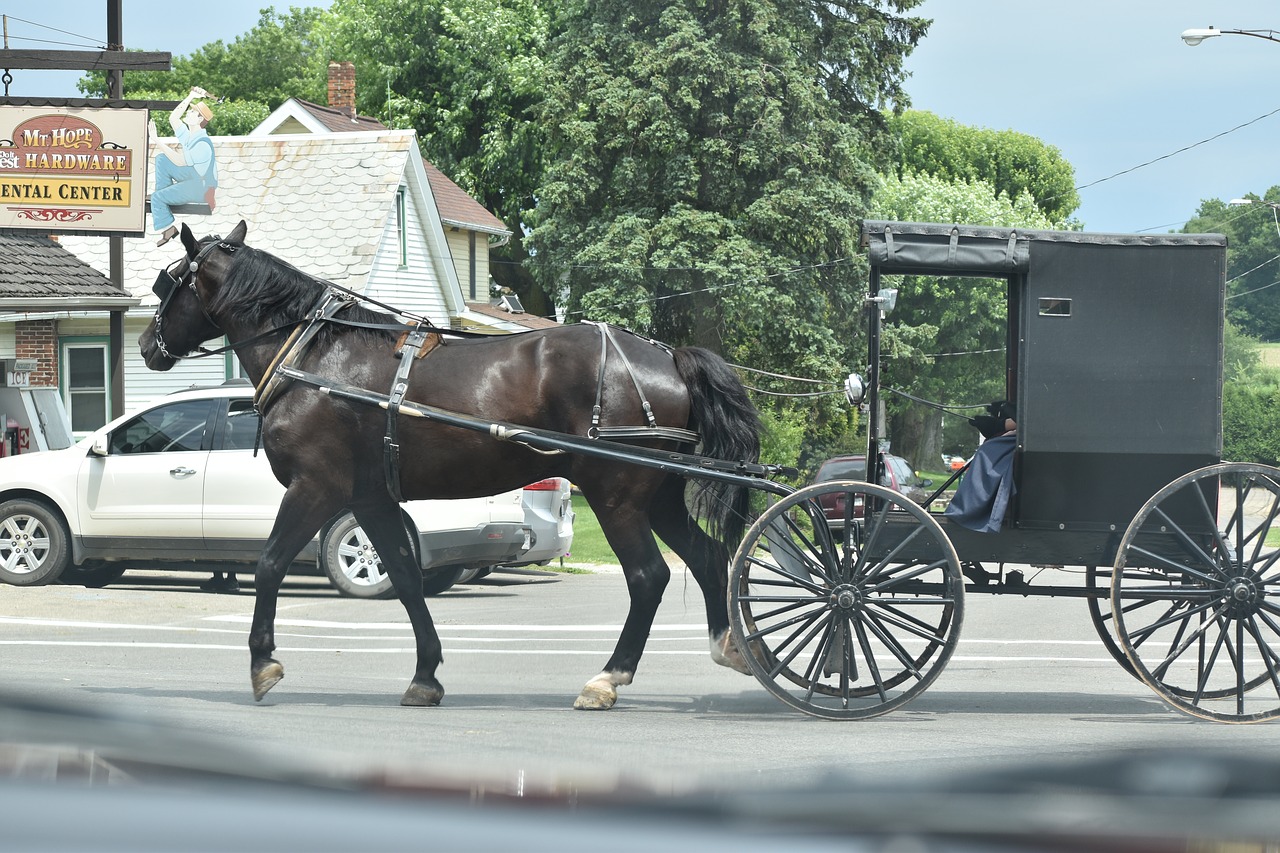 Amish, Amish Buggy, Ohio, Buggy, Nemokamos Nuotraukos,  Nemokama Licenzija