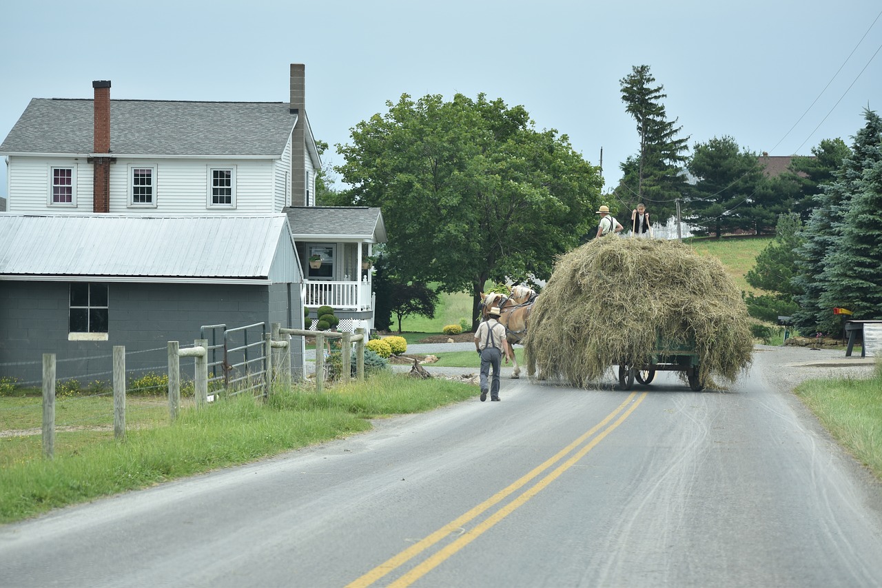 Amish, Šienas, Ūkininkavimas, Darbas, Nemokamos Nuotraukos,  Nemokama Licenzija